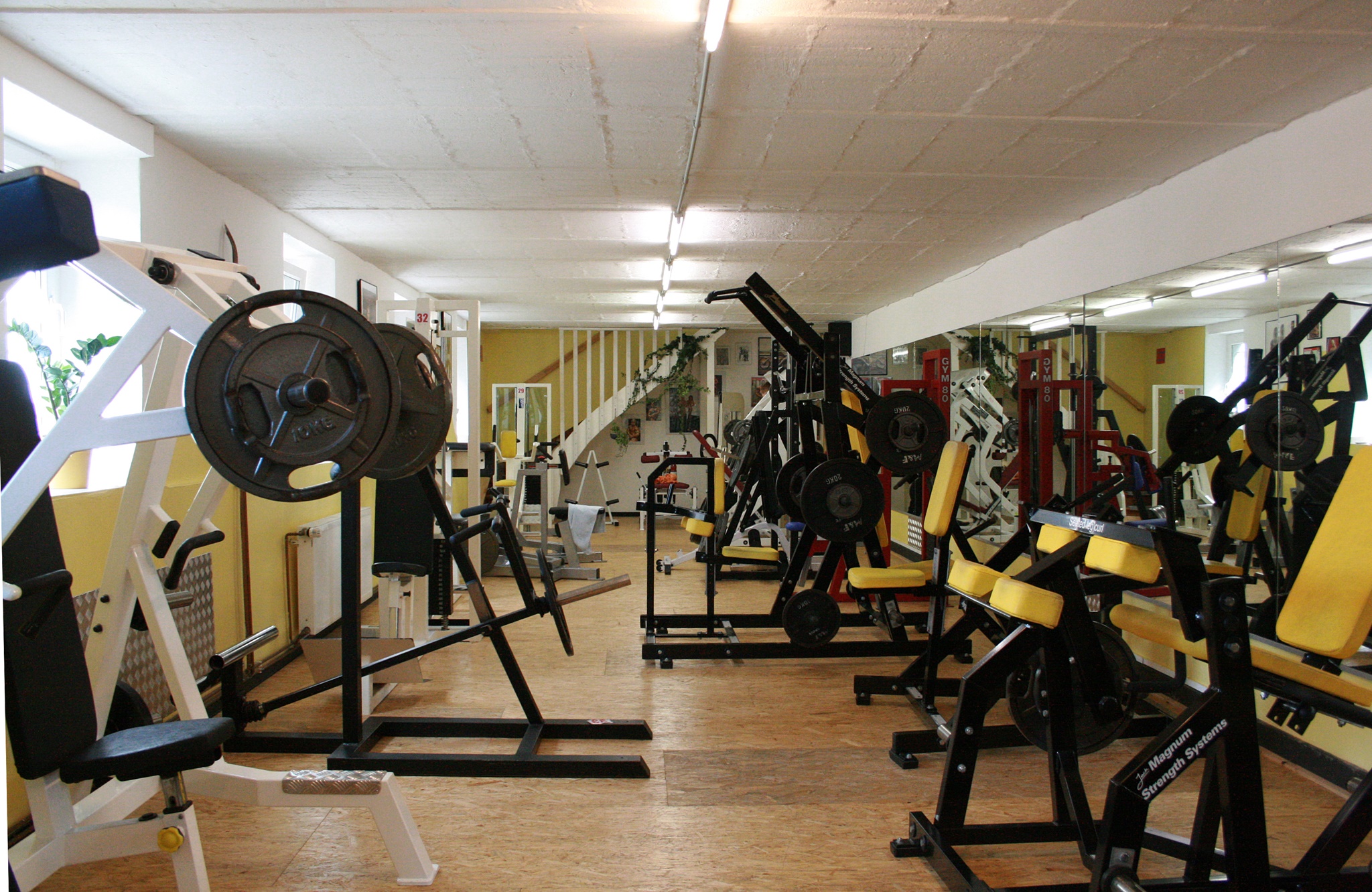 Trainingsbereich